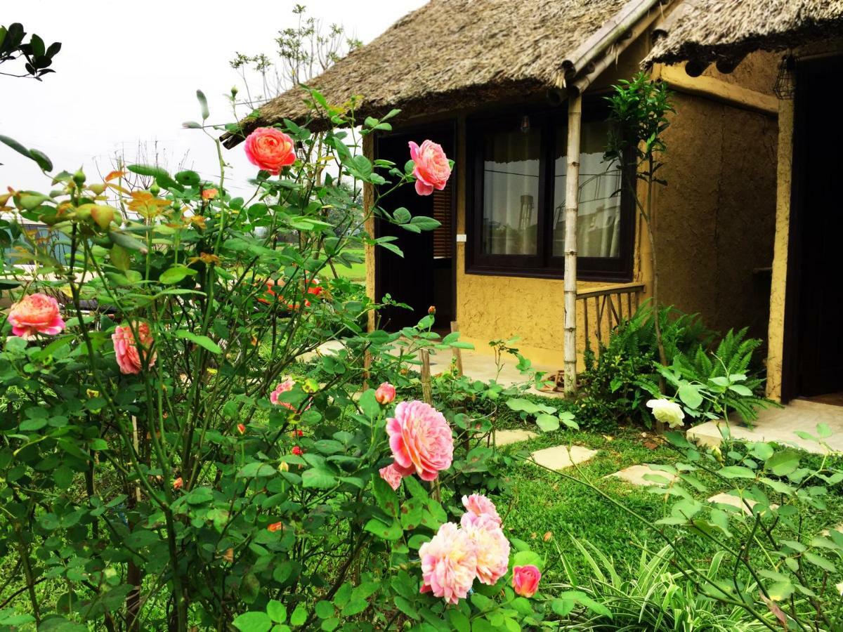 May Homestay - Tam Coc Local Village Ninh Bình Exteriör bild